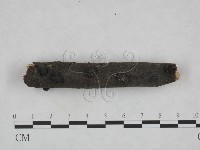登錄號:F0023777藏品圖，第1張
