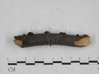 登錄號:F0023777藏品圖，第3張