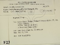登錄號:F0023778藏品圖，第2張
