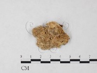 登錄號:F0023778藏品圖，第1張