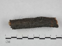 登錄號:F0023779藏品圖，第3張