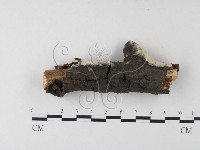 登錄號:F0023781藏品圖，第1張