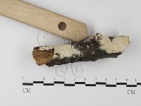 登錄號:F0023781藏品圖，第3張