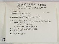 煙管菌藏品圖，第2張