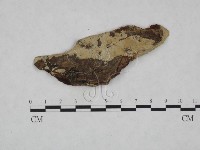 登錄號:F0023783藏品圖，第1張