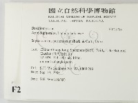 登錄號:F0023784藏品圖，第2張