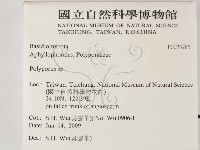 多孔菌屬藏品圖，第2張