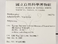 多孔菌屬藏品圖，第2張