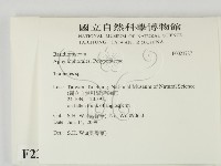 栓菌屬藏品圖，第2張