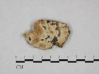 登錄號:F0023788藏品圖，第1張