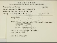 登錄號:F0023789藏品圖，第2張