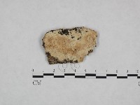 登錄號:F0023789藏品圖，第1張