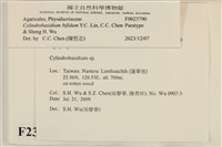 登錄號:F0023790藏品圖，第3張