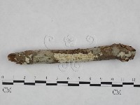 登錄號:F0023791藏品圖，第1張