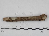 登錄號:F0023791藏品圖，第3張