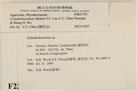 登錄號:F0023791藏品圖，第4張