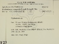 登錄號:F0023792藏品圖，第2張