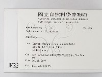 登錄號:F0023798藏品圖，第2張