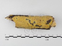登錄號:F0023798藏品圖，第1張