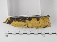 登錄號:F0023798藏品圖，第3張