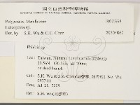 登錄號:F0023798藏品圖，第4張