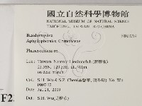 顯絲菌屬藏品圖，第2張