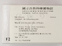 登錄號:F0023802藏品圖，第2張