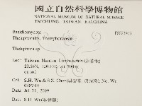 革菌屬藏品圖，第2張