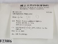 登錄號:F0023806藏品圖，第2張