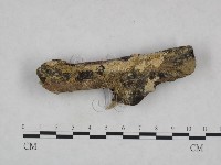 登錄號:F0023806藏品圖，第1張