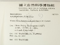 登錄號:F0023809藏品圖，第2張