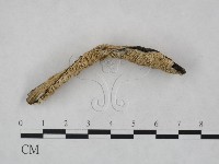 登錄號:F0023811藏品圖，第3張