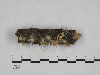 登錄號:F0023813藏品圖，第3張