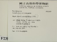 登錄號:F0023815藏品圖，第2張