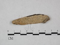 登錄號:F0023815藏品圖，第1張