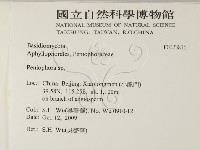 筍殼菌屬藏品圖，第2張