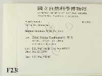 登錄號:F0023817藏品圖，第2張