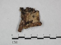 登錄號:F0023818藏品圖，第1張