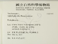 筍殼菌屬藏品圖，第2張