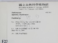 登錄號:F0023822藏品圖，第2張