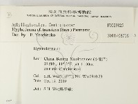 登錄號:F0023825藏品圖，第2張