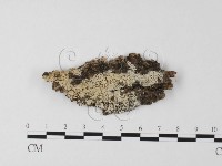 登錄號:F0023825藏品圖，第1張