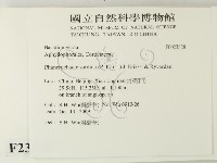 登錄號:F0023828藏品圖，第2張