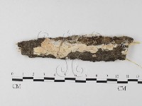 登錄號:F0023828藏品圖，第1張
