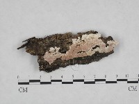 登錄號:F0023829藏品圖，第1張