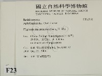 登錄號:F0023830藏品圖，第2張