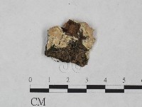 登錄號:F0023830藏品圖，第1張