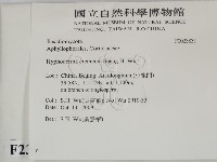 登錄號:F0023831藏品圖，第2張