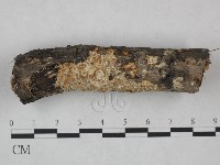 登錄號:F0023831藏品圖，第1張