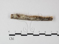 登錄號:F0023832藏品圖，第1張